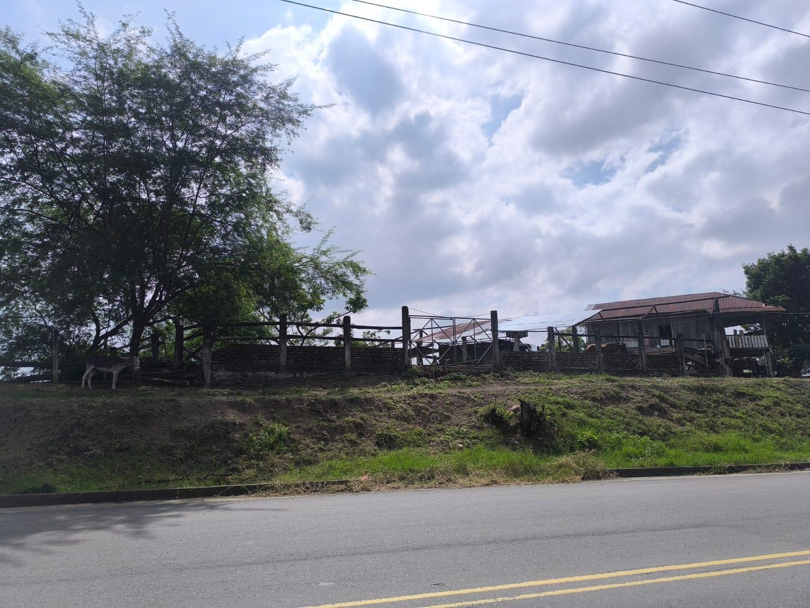 imgi_12_7294158_103163431666991026686983574848937374956404601630155407001956058991128674171259