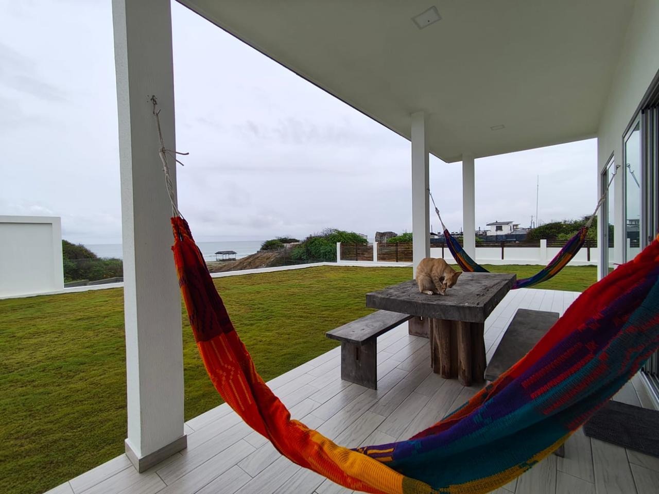 imgi_12_7773880_24849908005855076105226153009206600033463892824442388652716487632404868471929