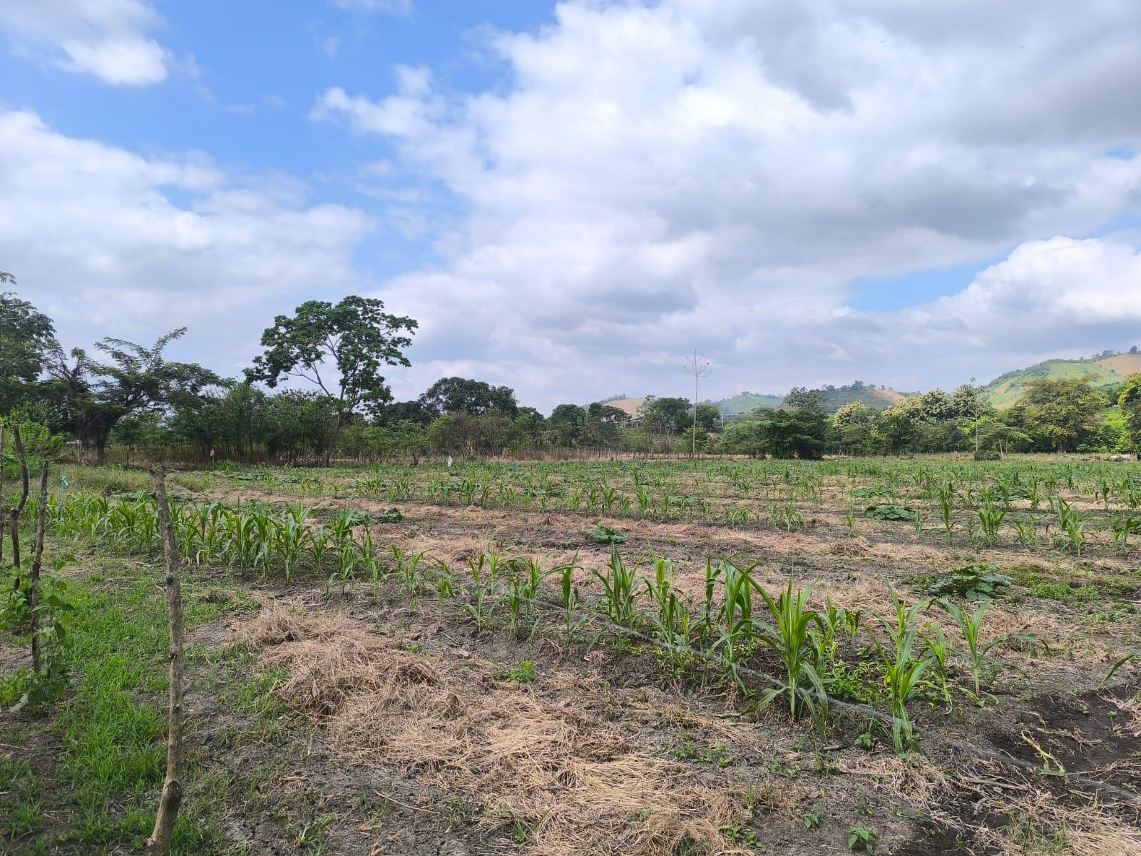 imgi_17_7294158_7383237896049016434717783394319663284782459148210337182333519301587209660429