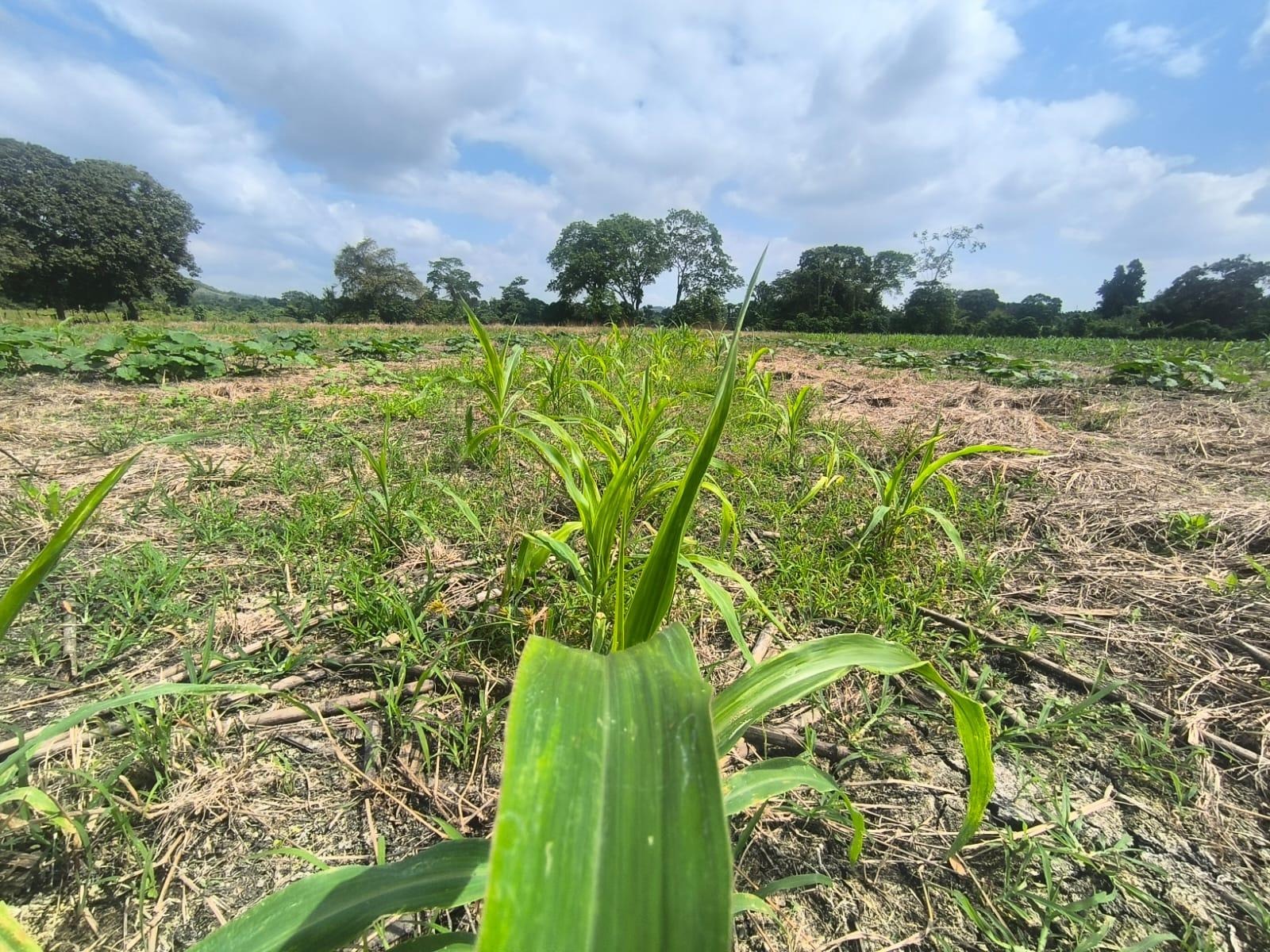 imgi_19_7294158_47890005851940690041918895112211483409290598082008619337743505583198009033769