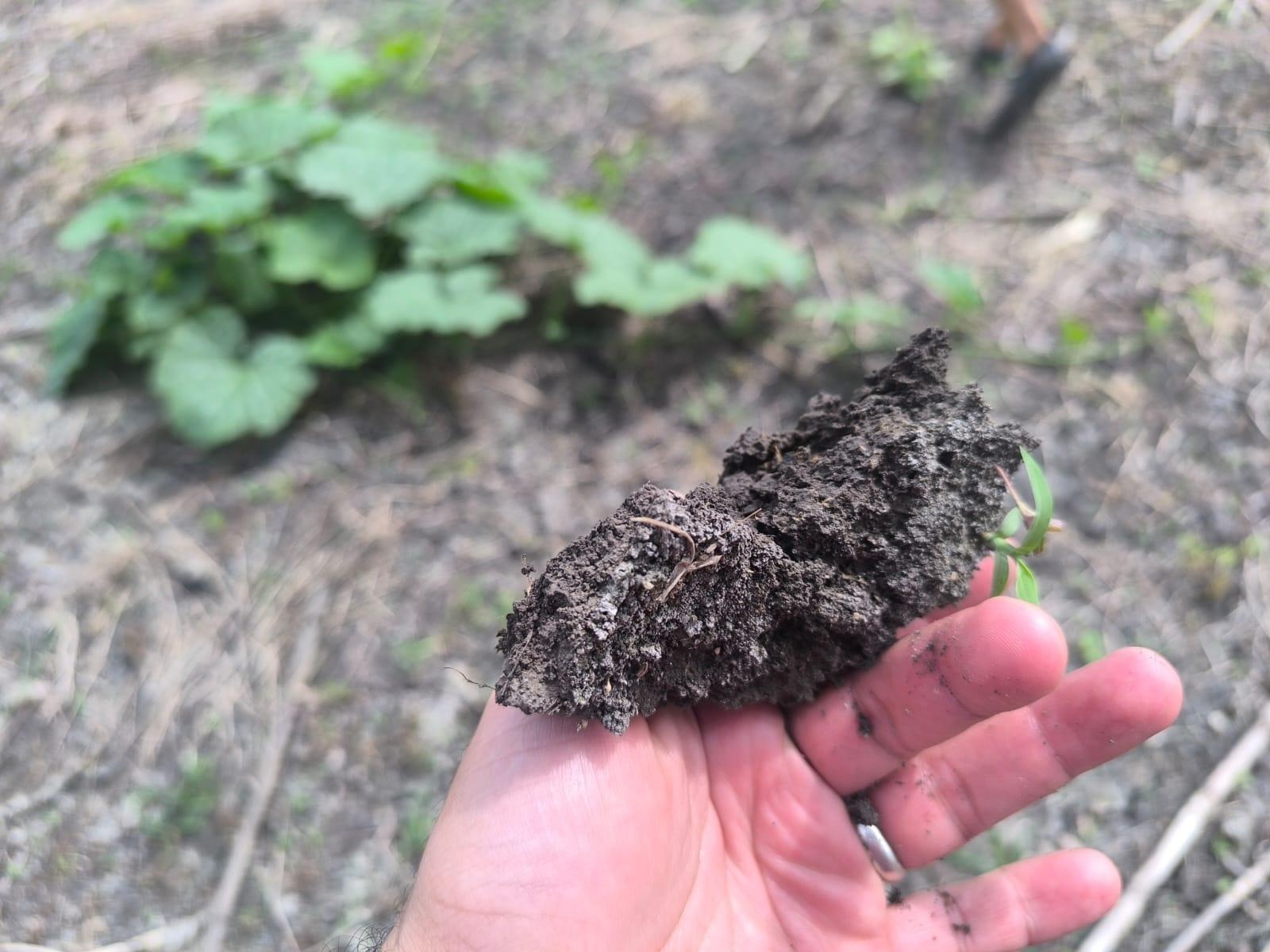 imgi_20_7294158_73292820424126581507057538390736504870114469934304963834180006203292846584695