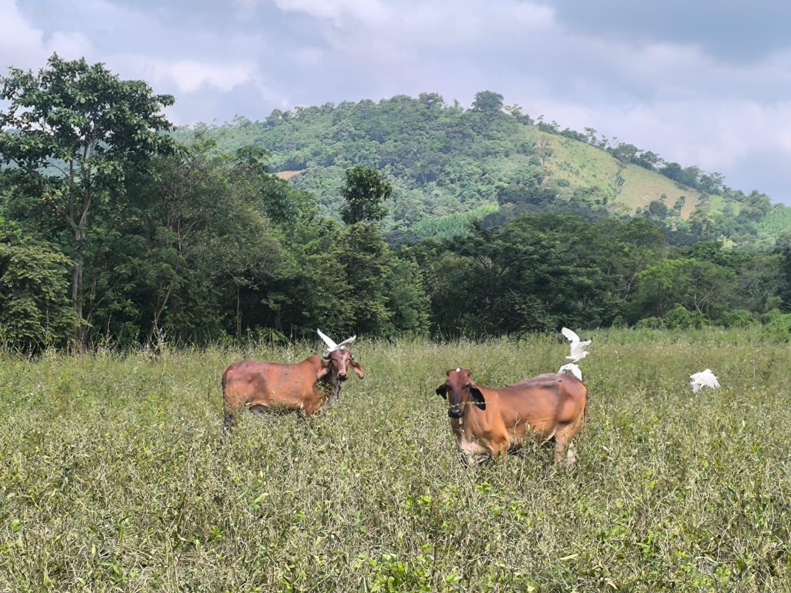 imgi_23_7294158_89847820464647277918710990389193103265298145208361376627410205352251908711001