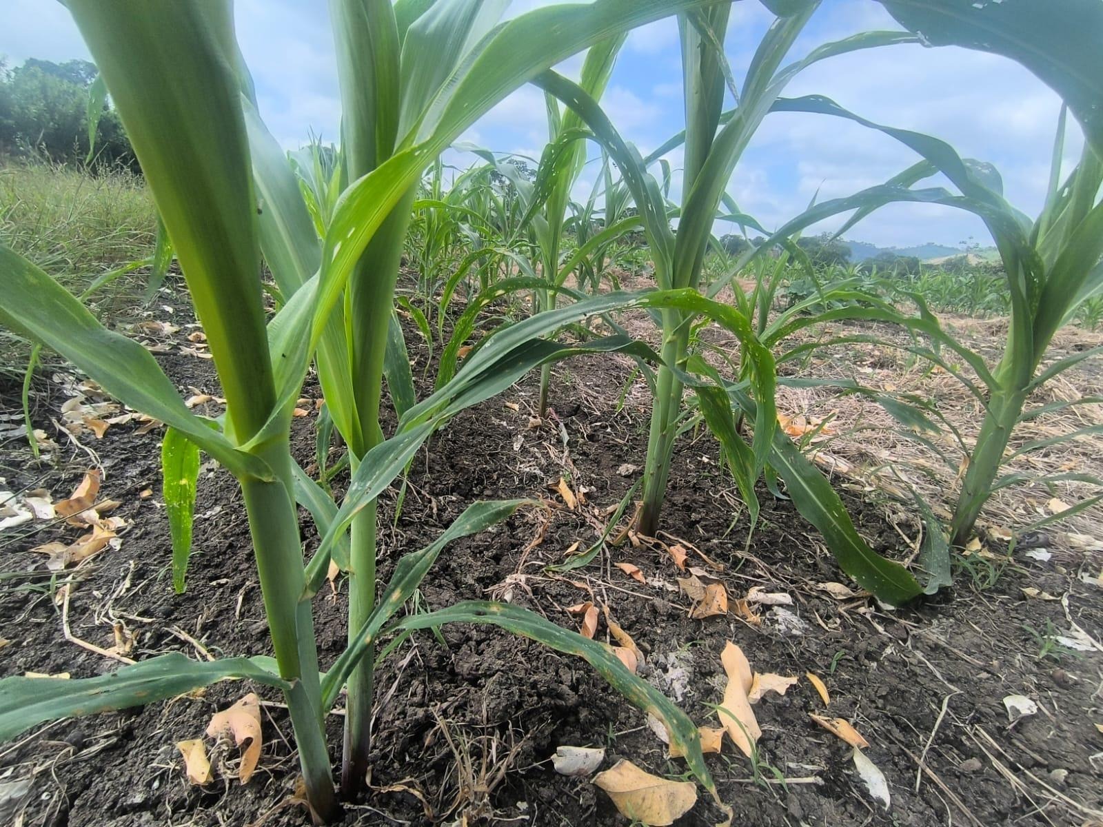 imgi_24_7294158_68426908584057588127126858671878111400029287954022148111975924171596337228510