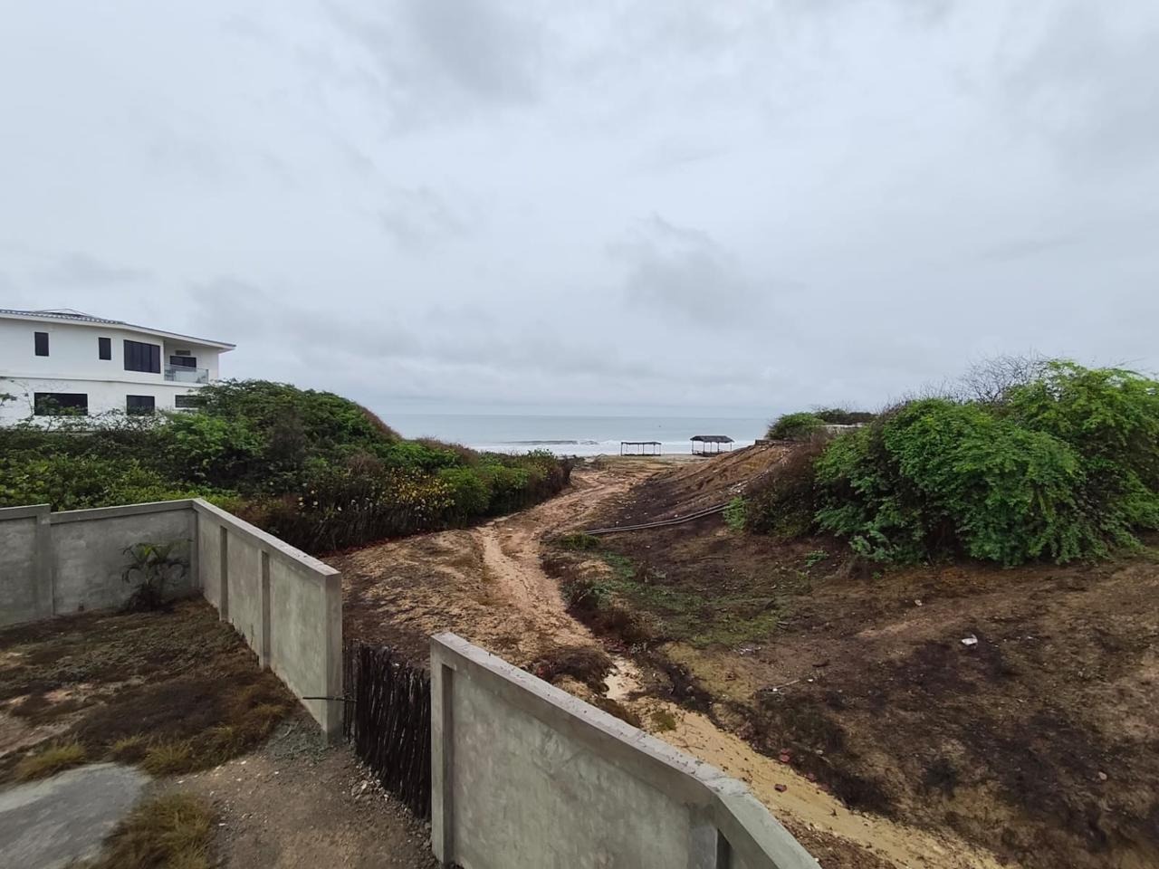 imgi_24_7773880_49403717764091916475171637303666411110253746163330010698840481660104403617341