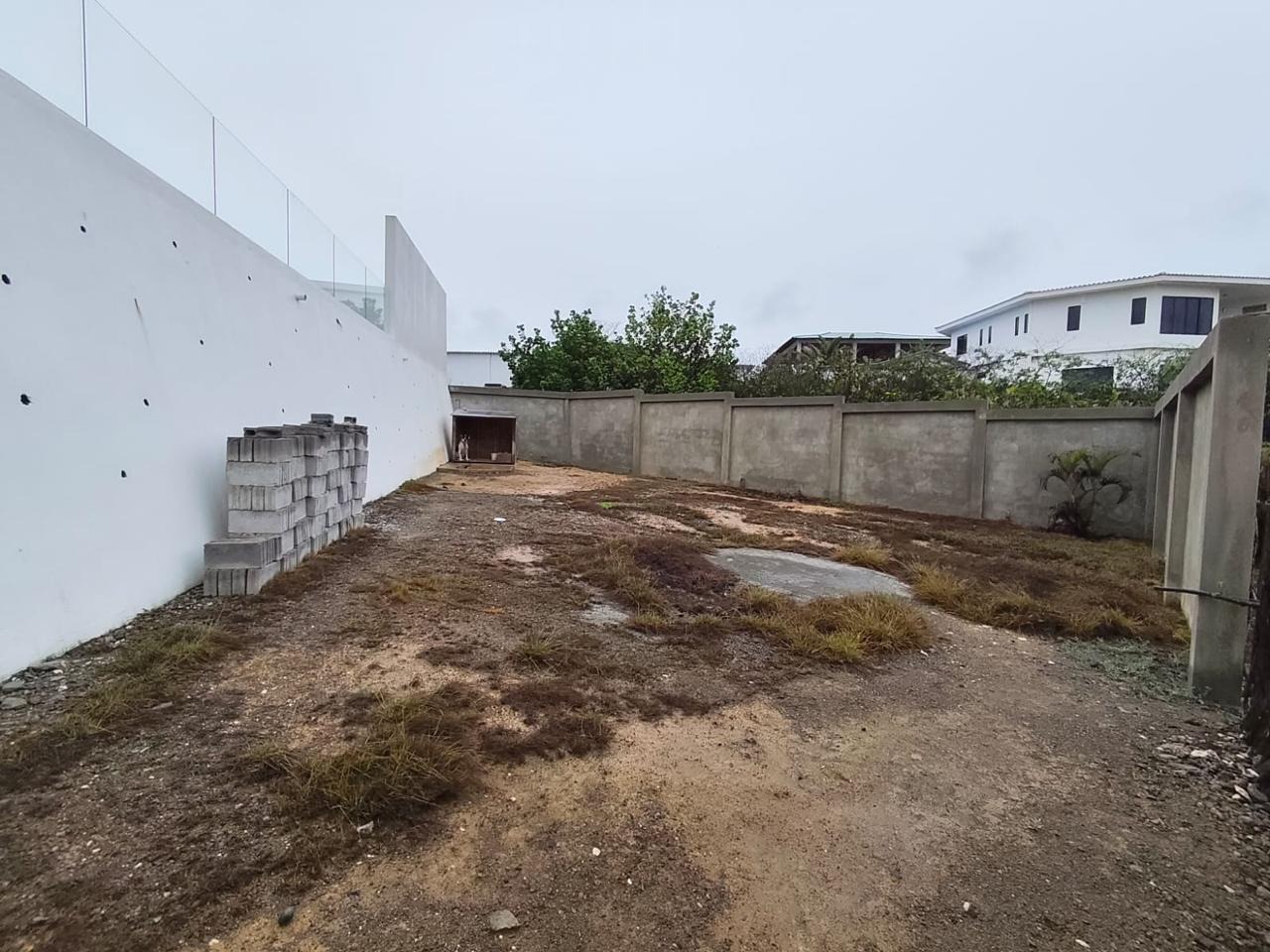 imgi_25_7773880_110965004364589715763899316561357186176667398425113235118888272834820501339585