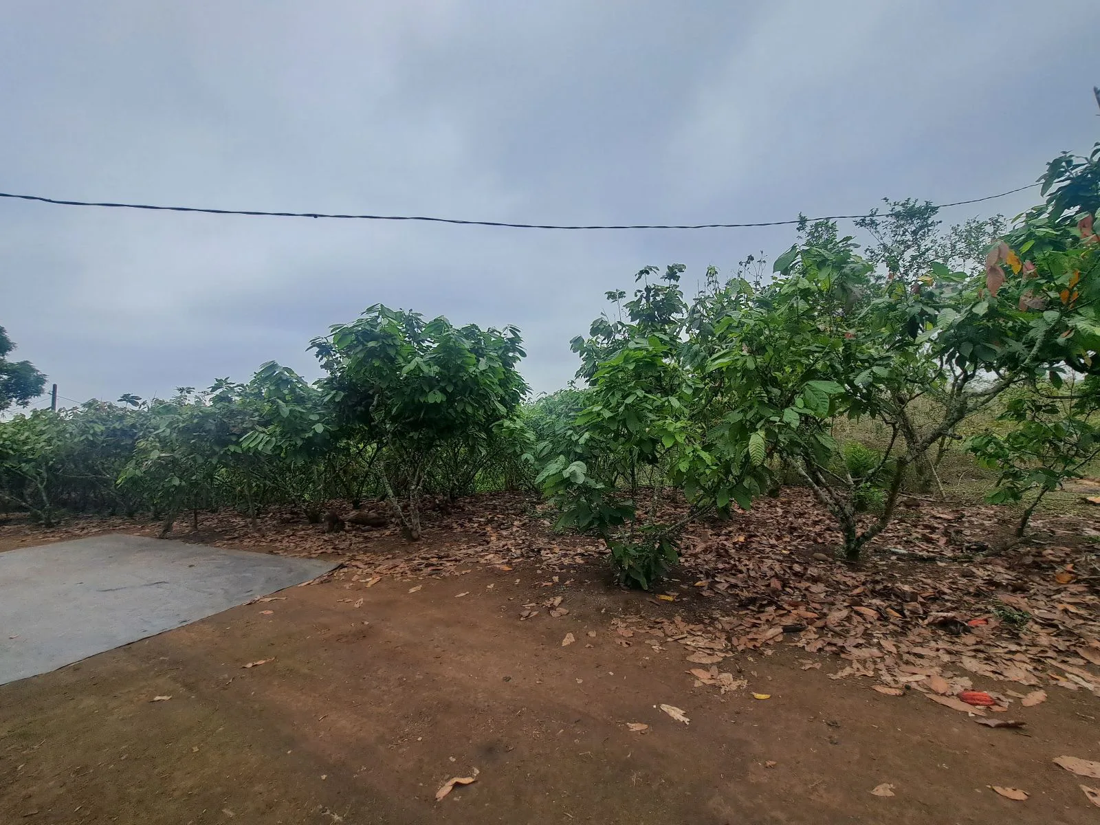Finca en Venta, Ventanas, Los Rios AleR