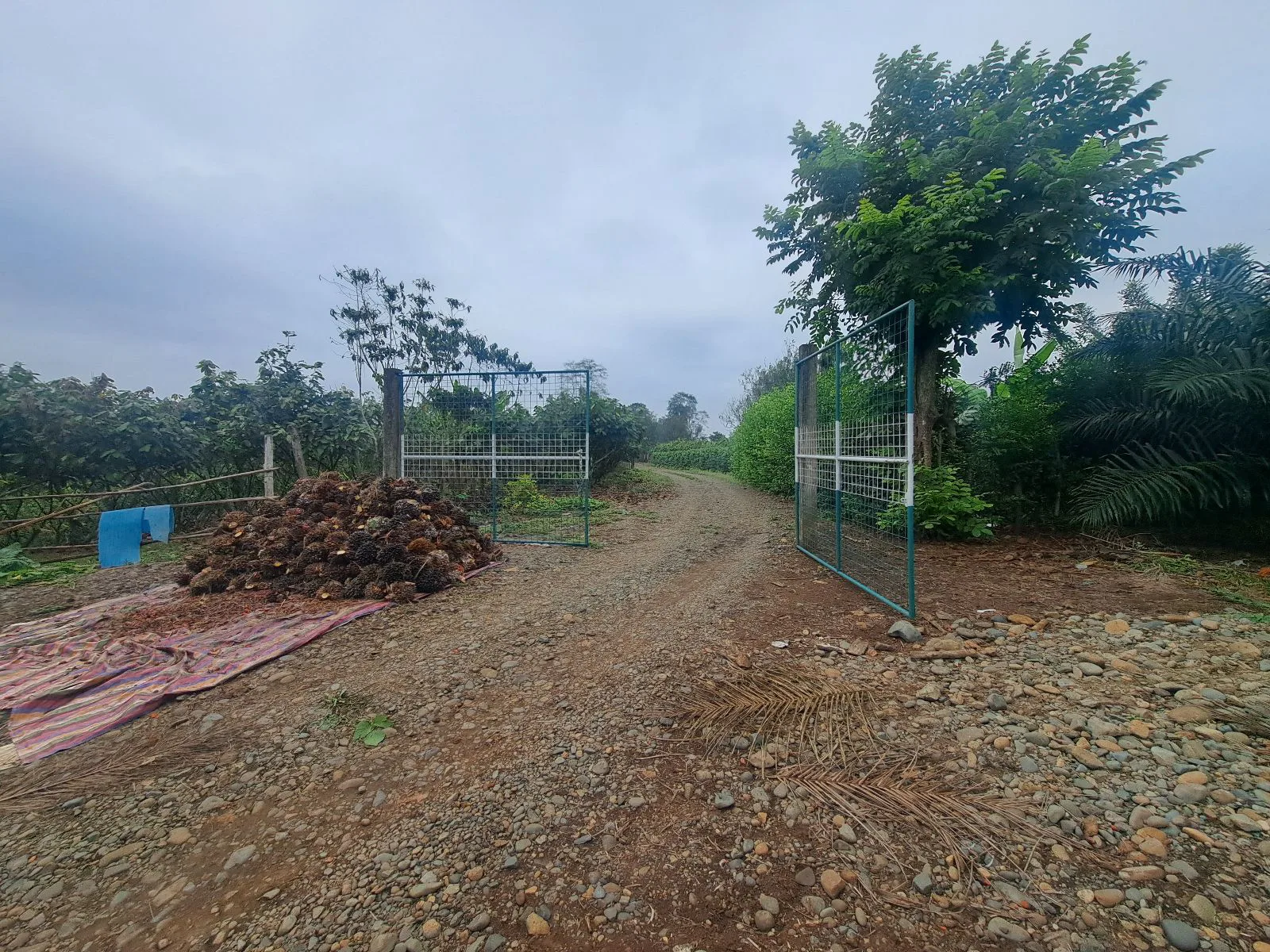 Finca en Venta, Ventanas, Los Rios AleR