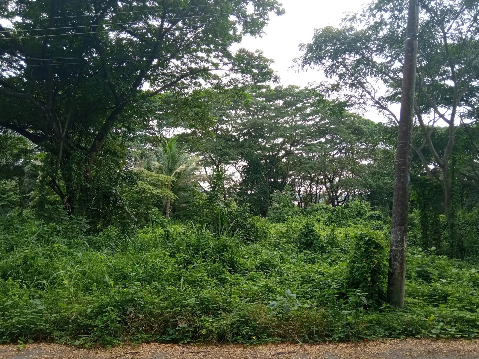 TERRENO EN VENTA URB. LAGO DE CAPEIRA ETAPA 1 RauH