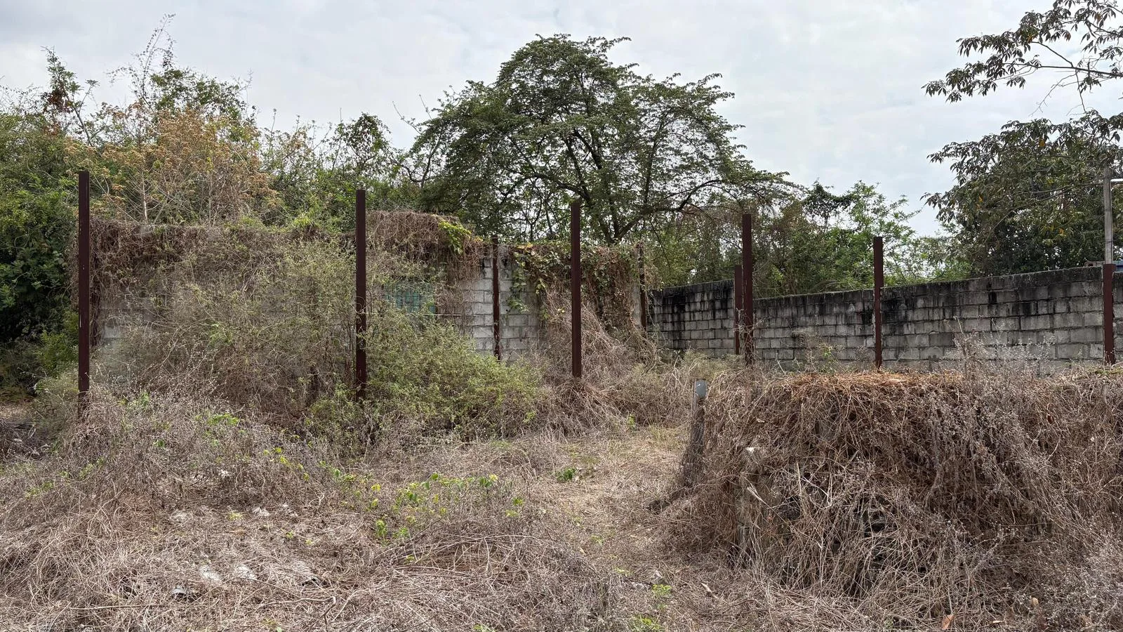Alquiler de terreno comercial Km. 19.5 Vía a la Costa, ChrC
