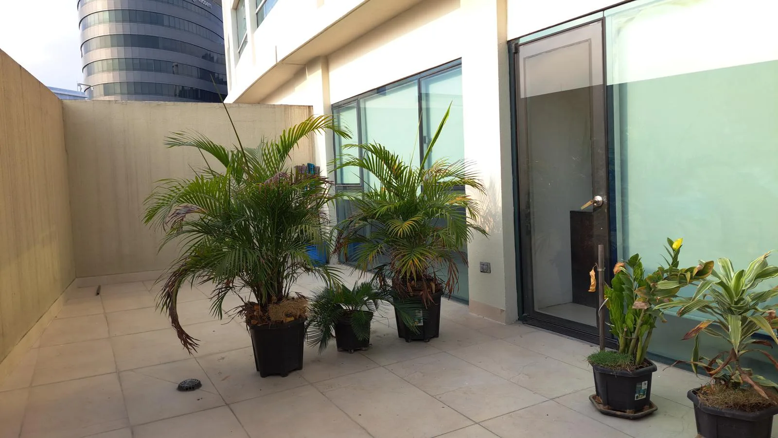 Departamento en Alquiler Pacific Plaza SanS