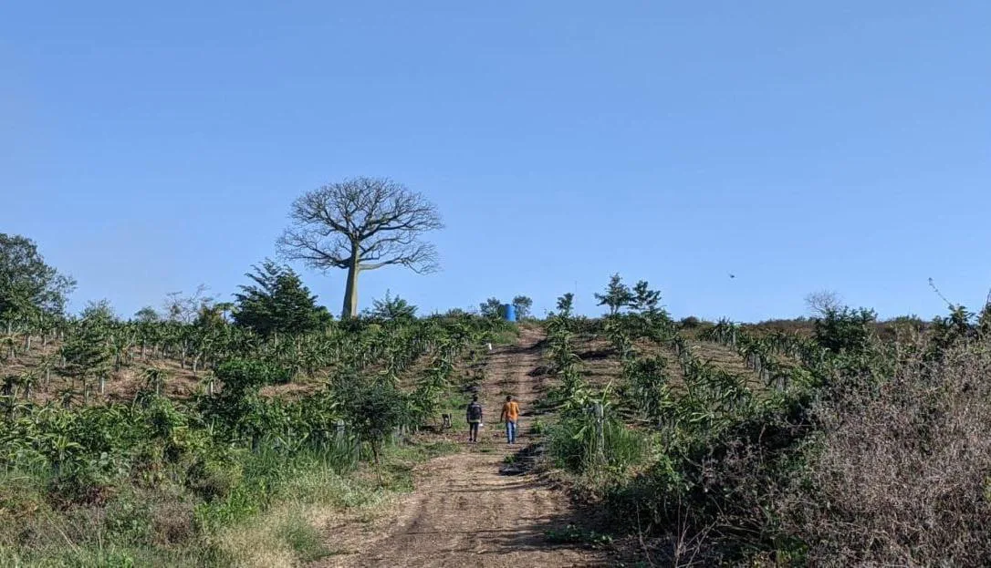 Finca en Venta Via a la Costa Km 36,5 , IngG
