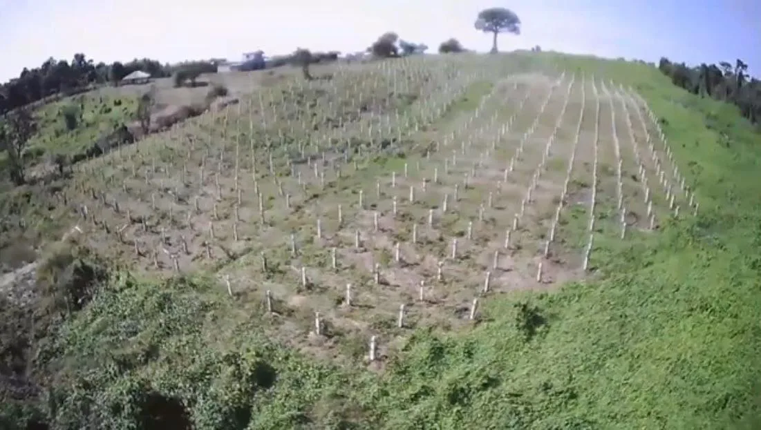 Finca en Venta Via a la Costa Km 36,5 , IngG