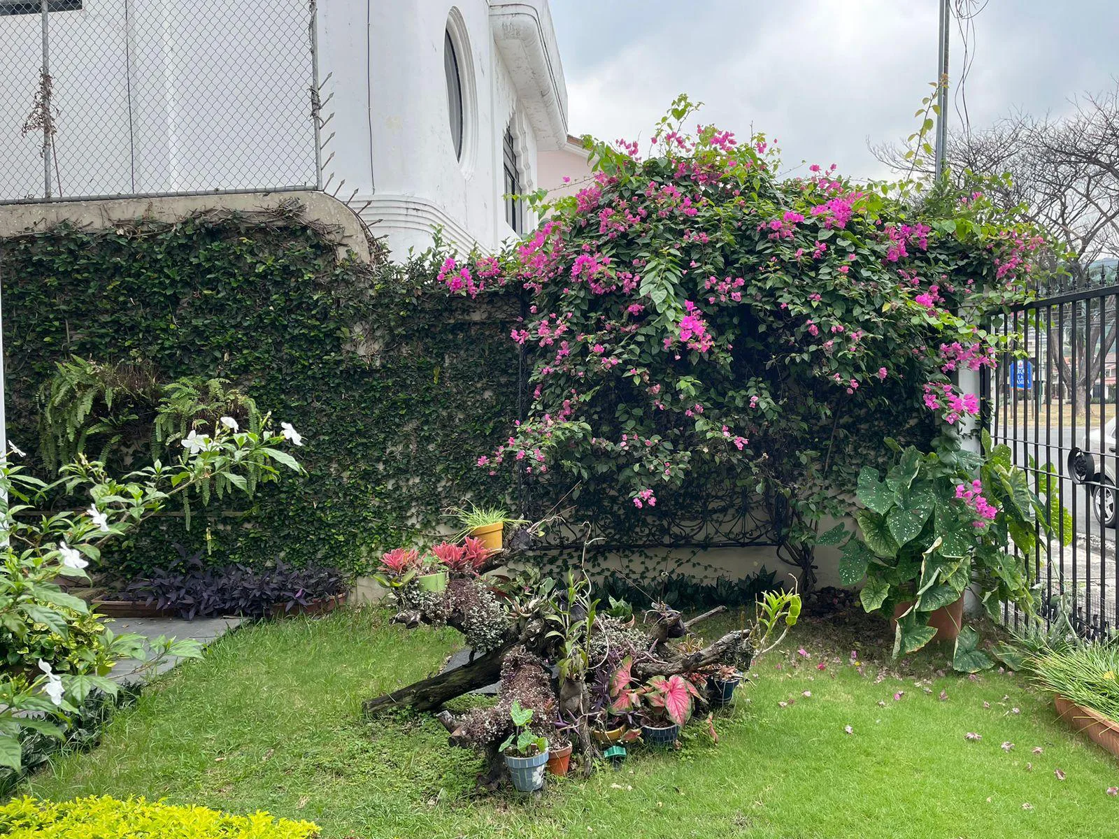 Casa en Venta, Urbanizacion Puerto Azul JosS