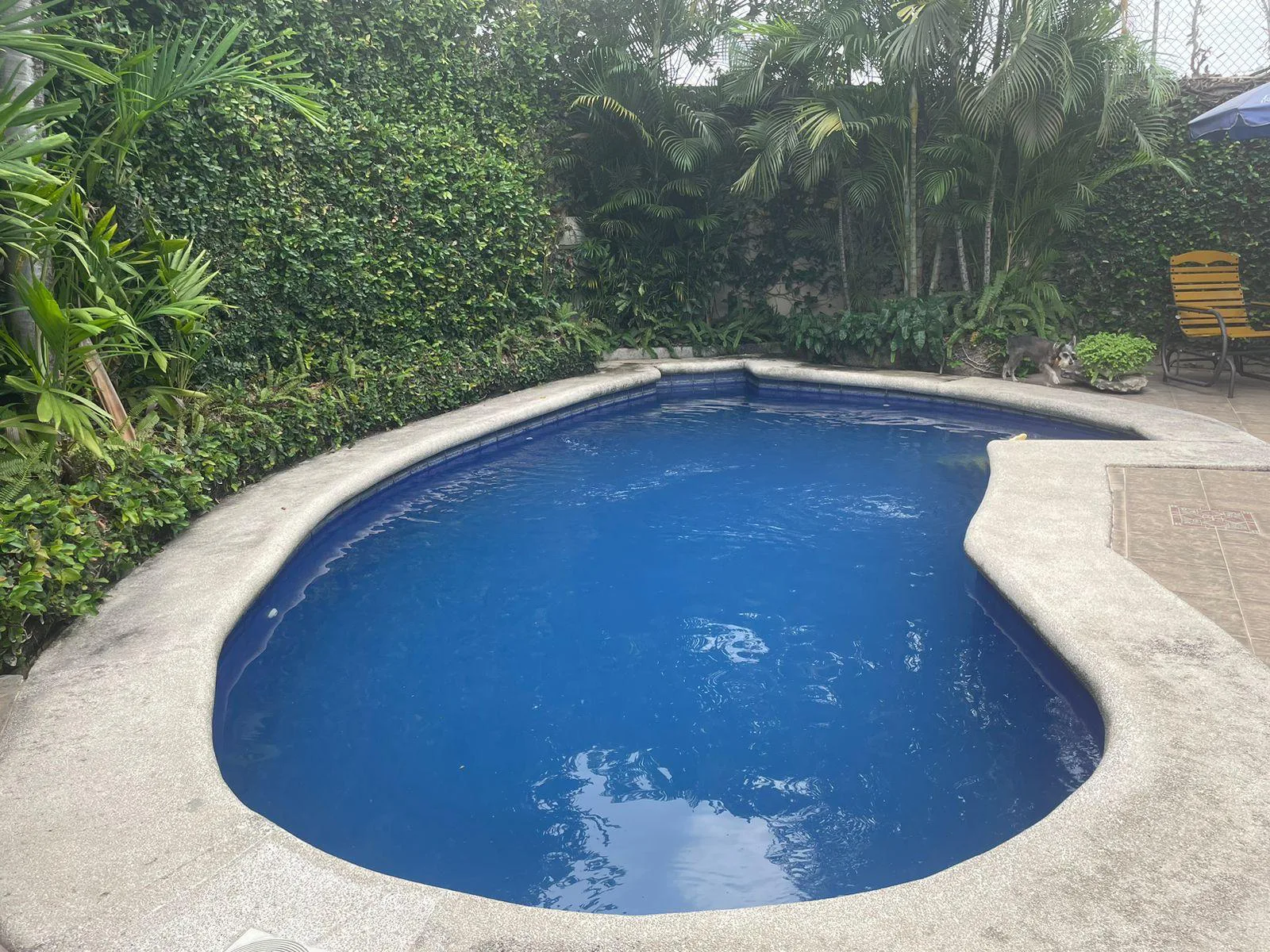 Casa en Venta, Urbanizacion Puerto Azul JosS