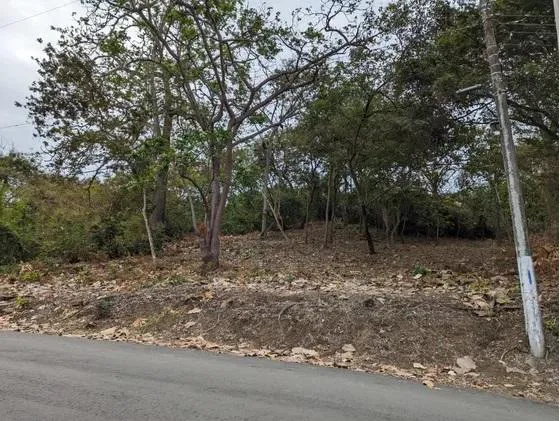 Se vende terreno en Lago de Capeira JosS