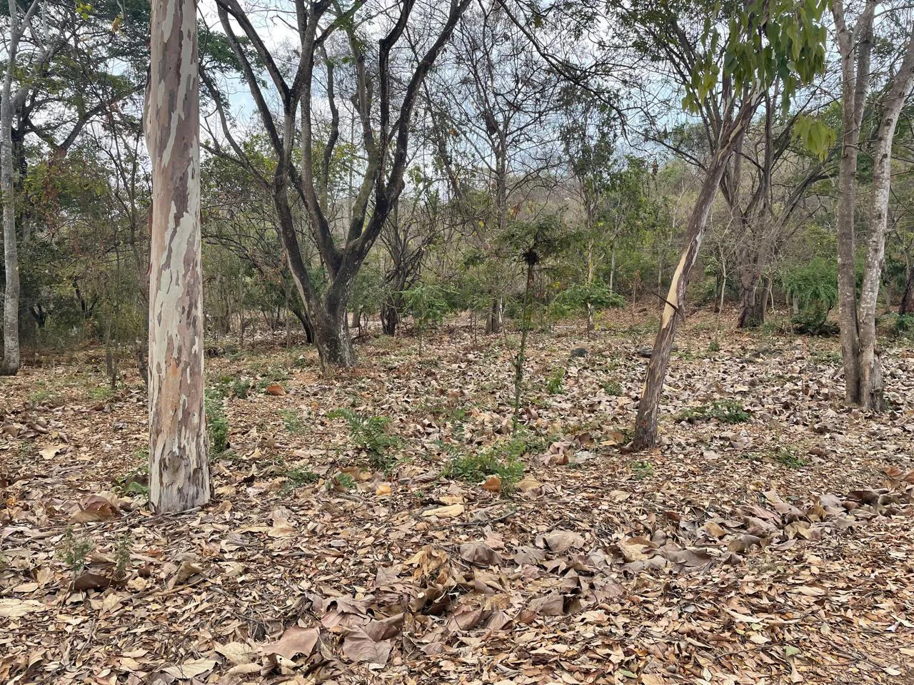 Se vende terreno en Lago de Capeira JosS