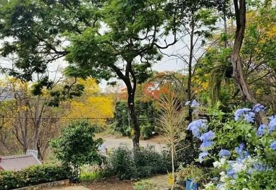 Se vende terreno en Lago de Capeira JosS