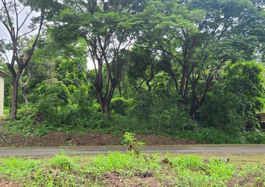 Se vende terreno en Lago de Capeira JosS