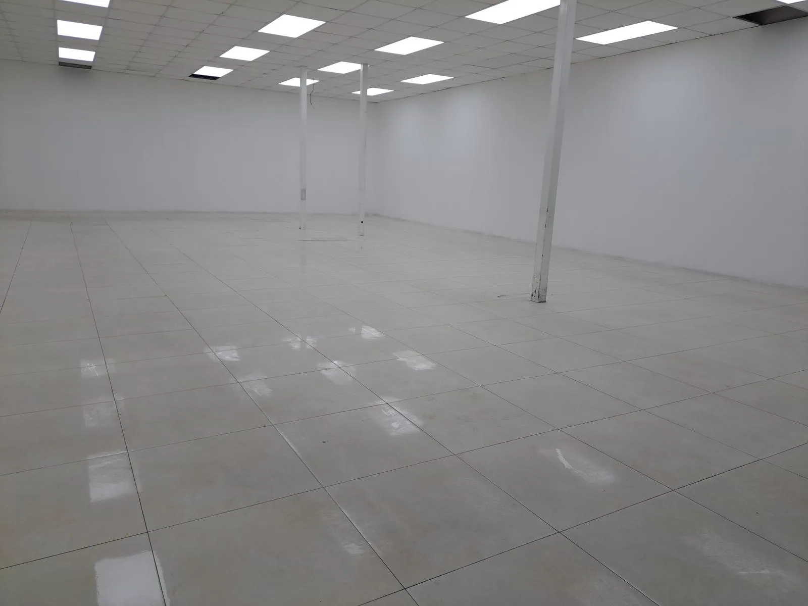 Local Comercial en Alquiler Isla Trinitaria SanS