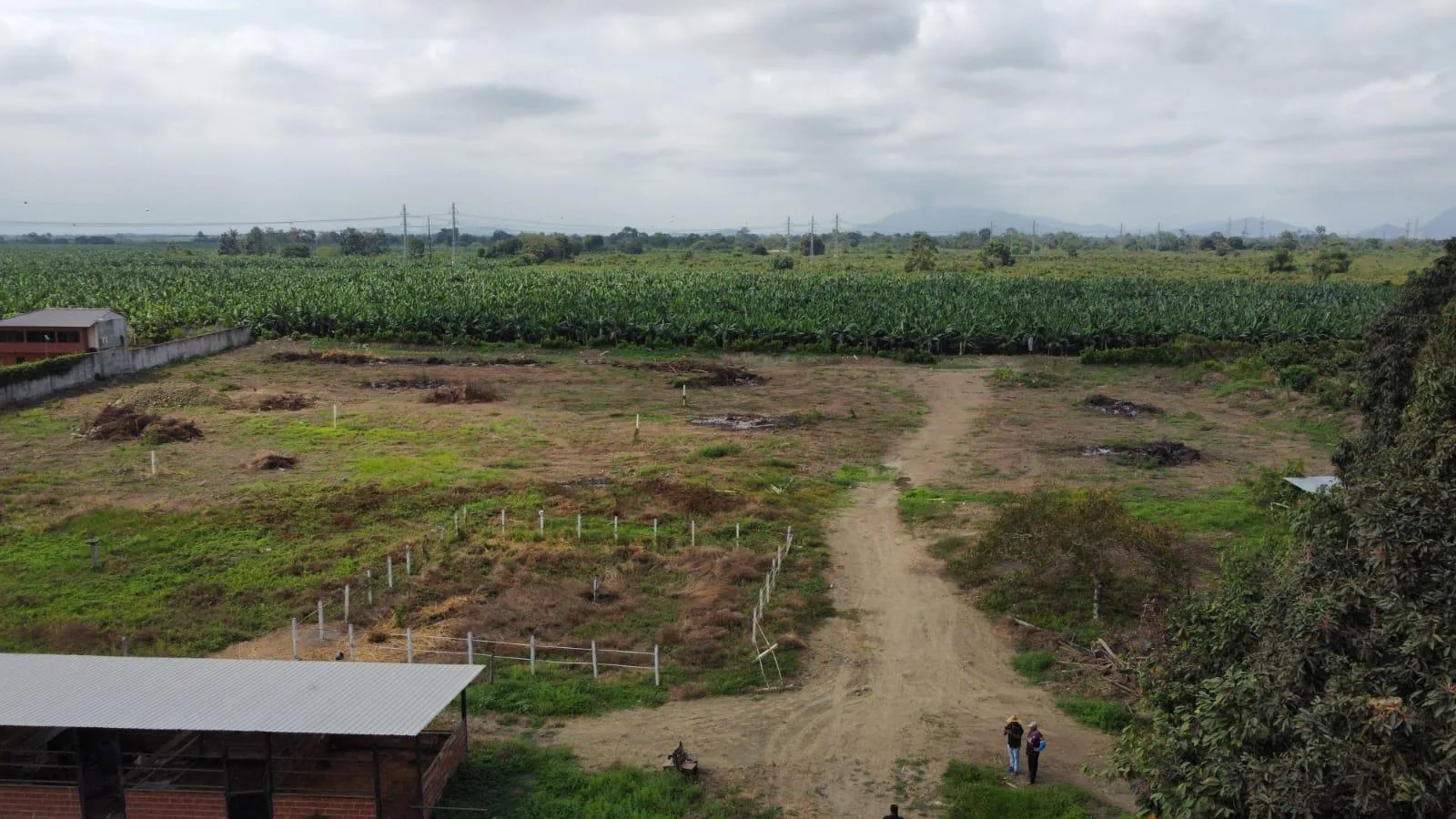 Terreno en venta en Yaguachi IngS
