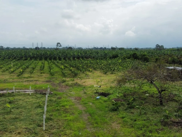 Terreno en venta en Yaguachi IngS