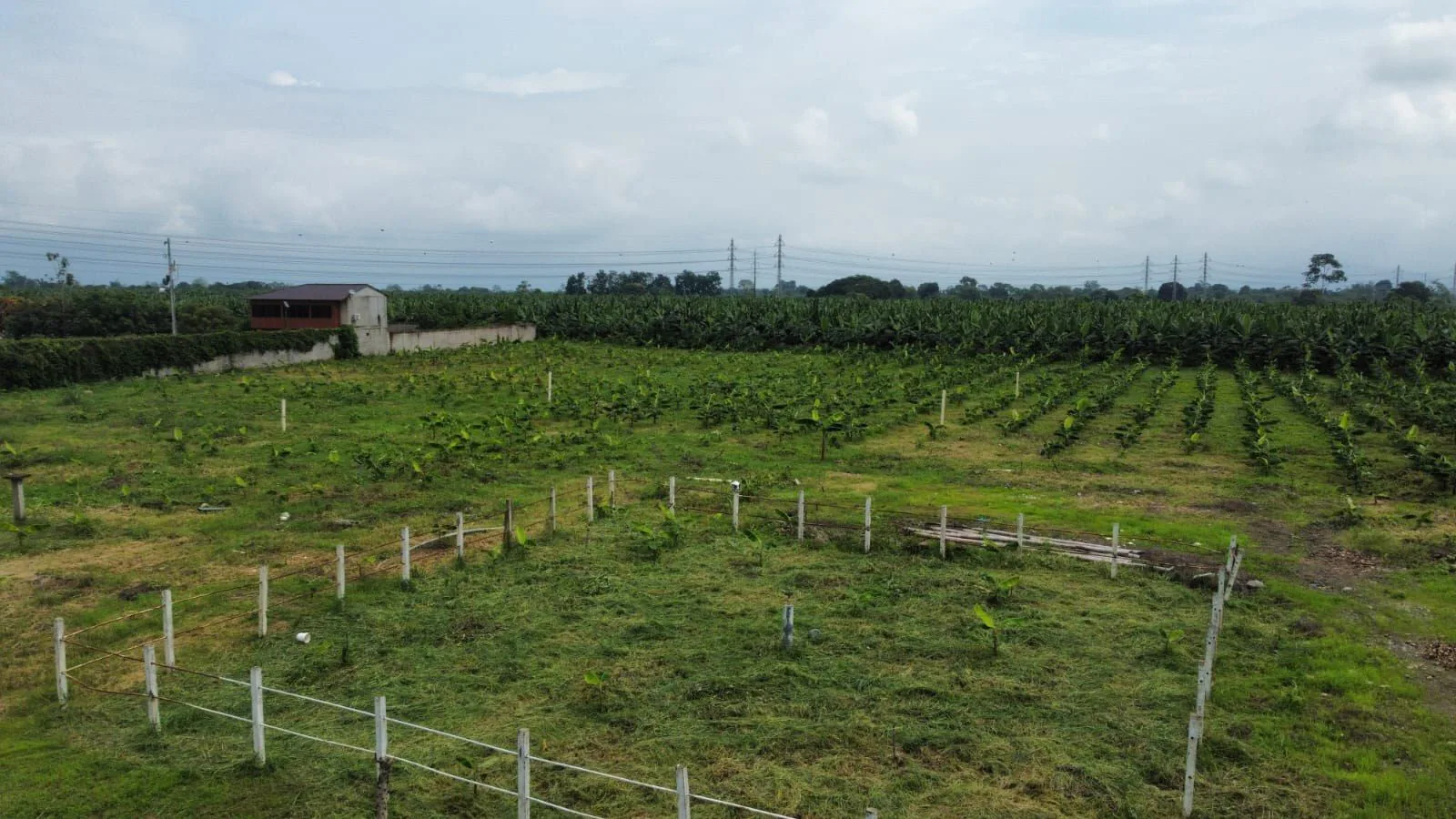 Terreno en venta en Yaguachi IngS