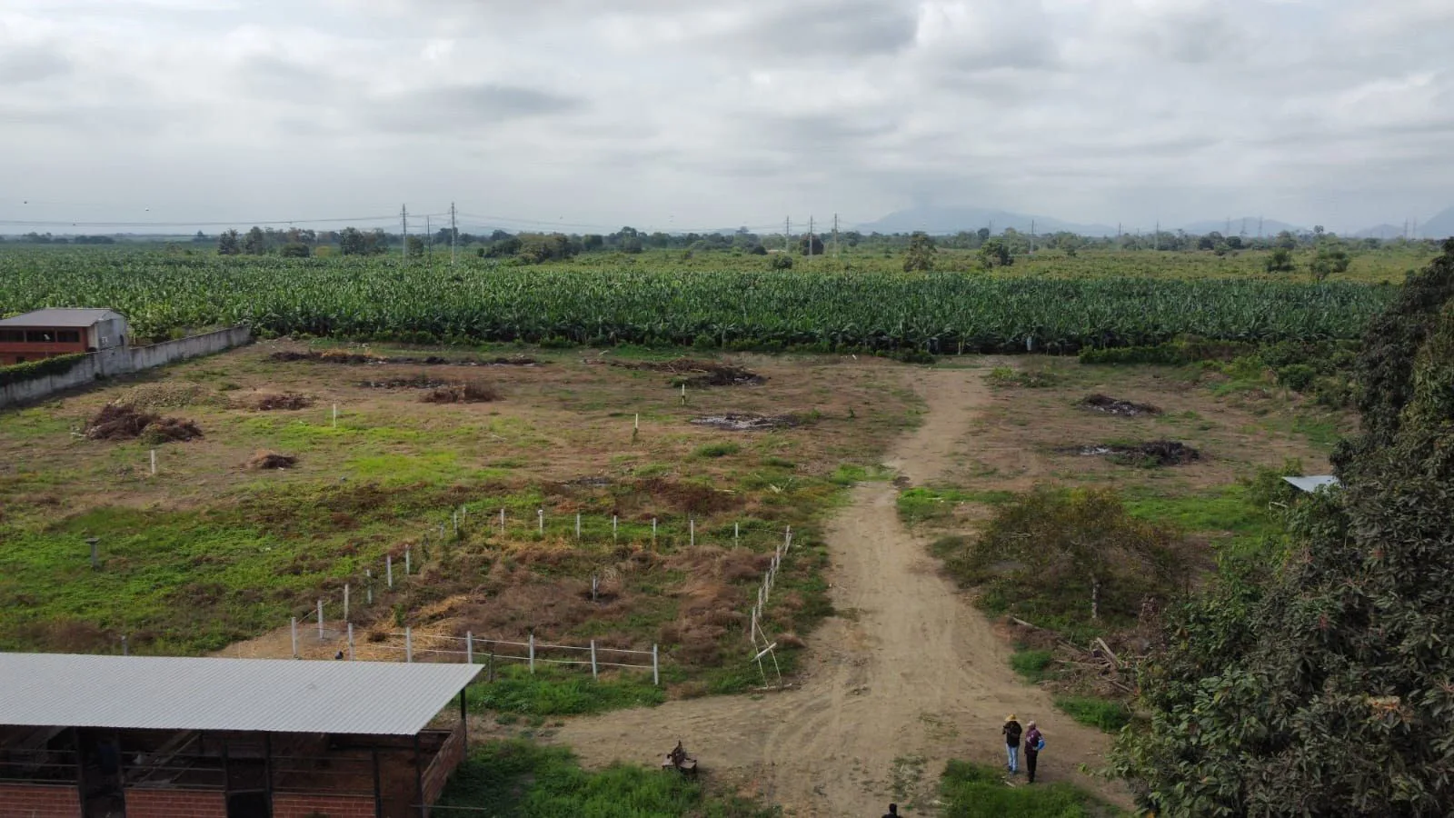 Terreno en venta en Yaguachi IngS