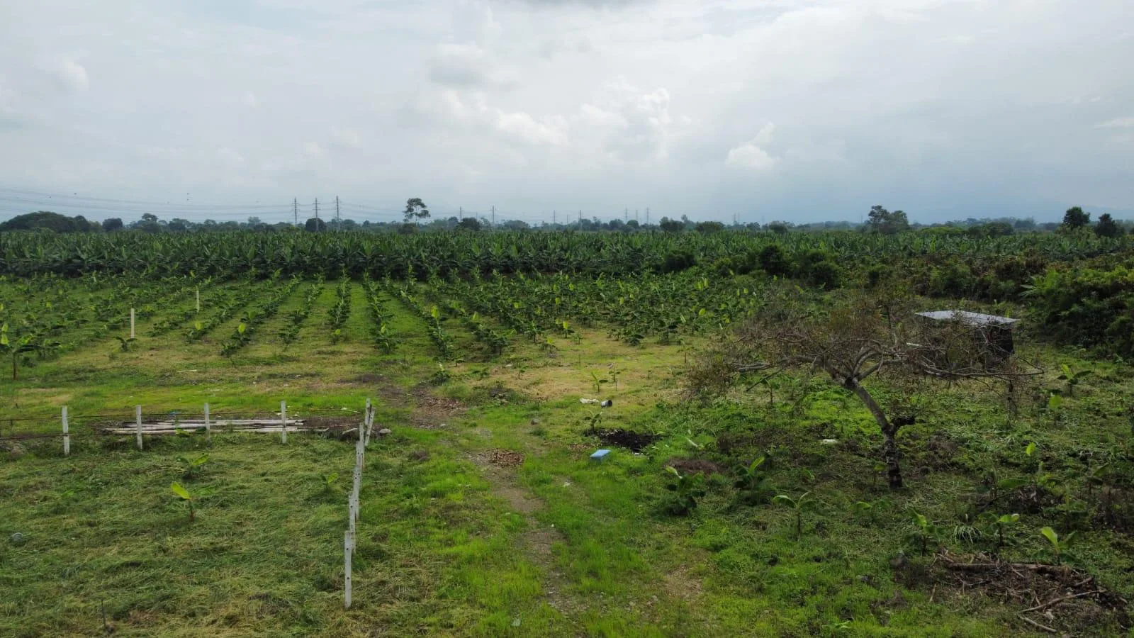 Terreno en venta en Yaguachi IngS