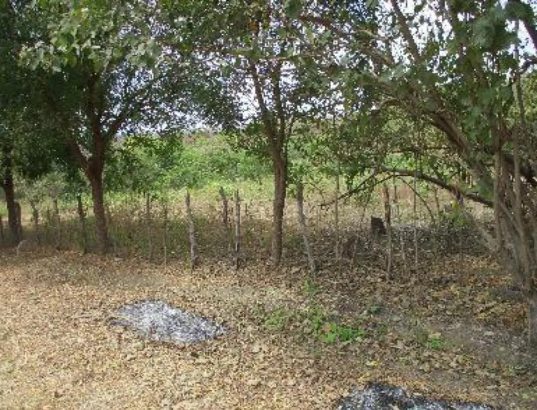 Terreno en venta en Bajada de Chanduy IriR