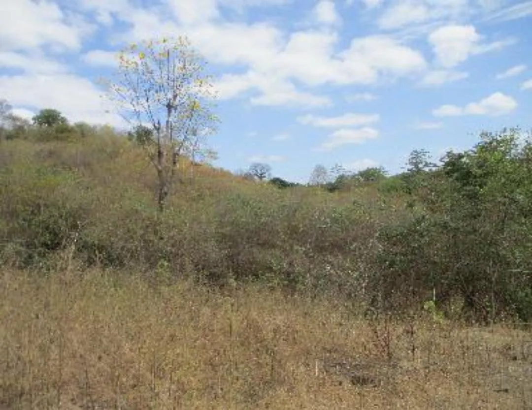 Terreno en venta en Bajada de Chanduy IriR