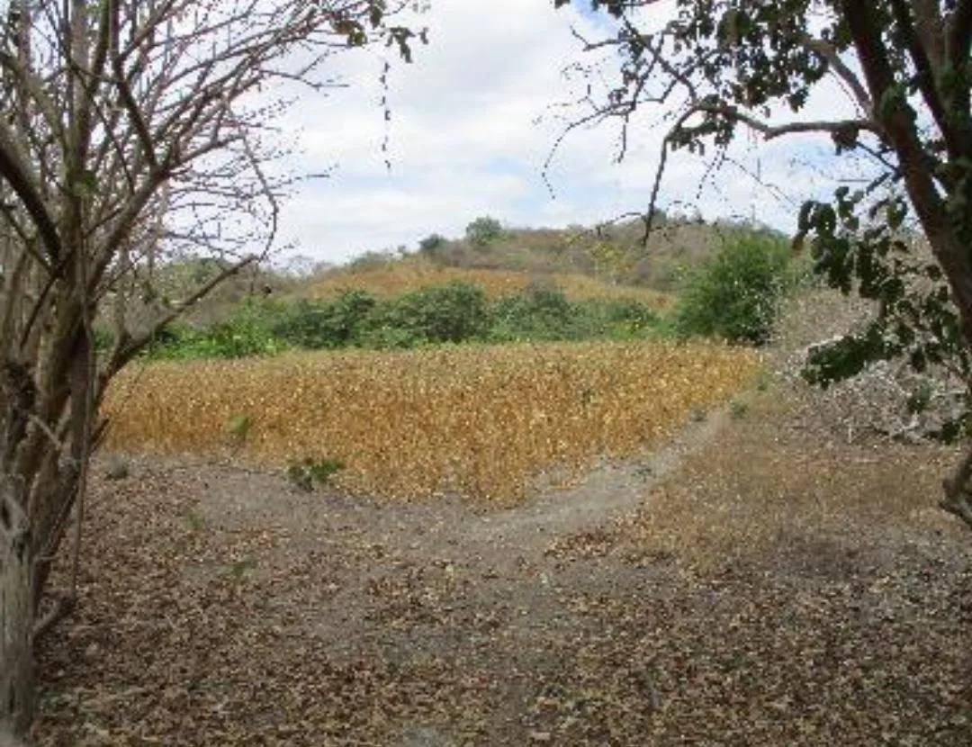 Terreno en venta en Bajada de Chanduy IriR