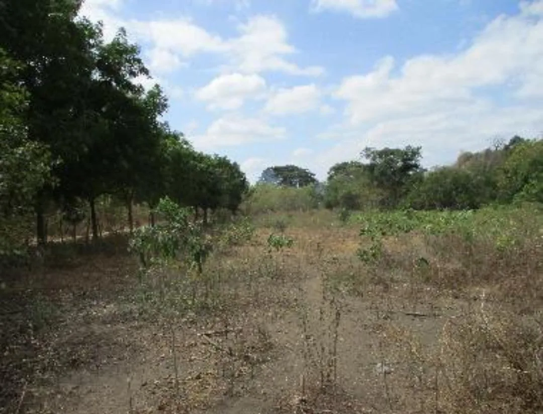 Terreno en venta en Bajada de Chanduy IriR