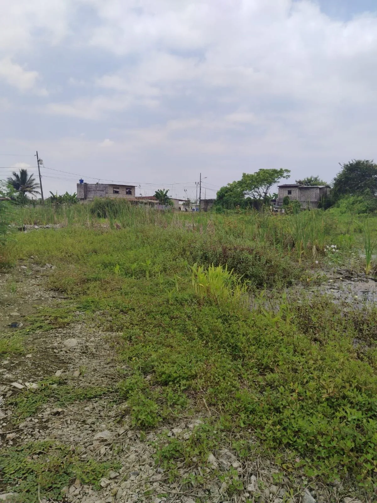 Terreno en venta en Recreo, Norte de Durán TatO
