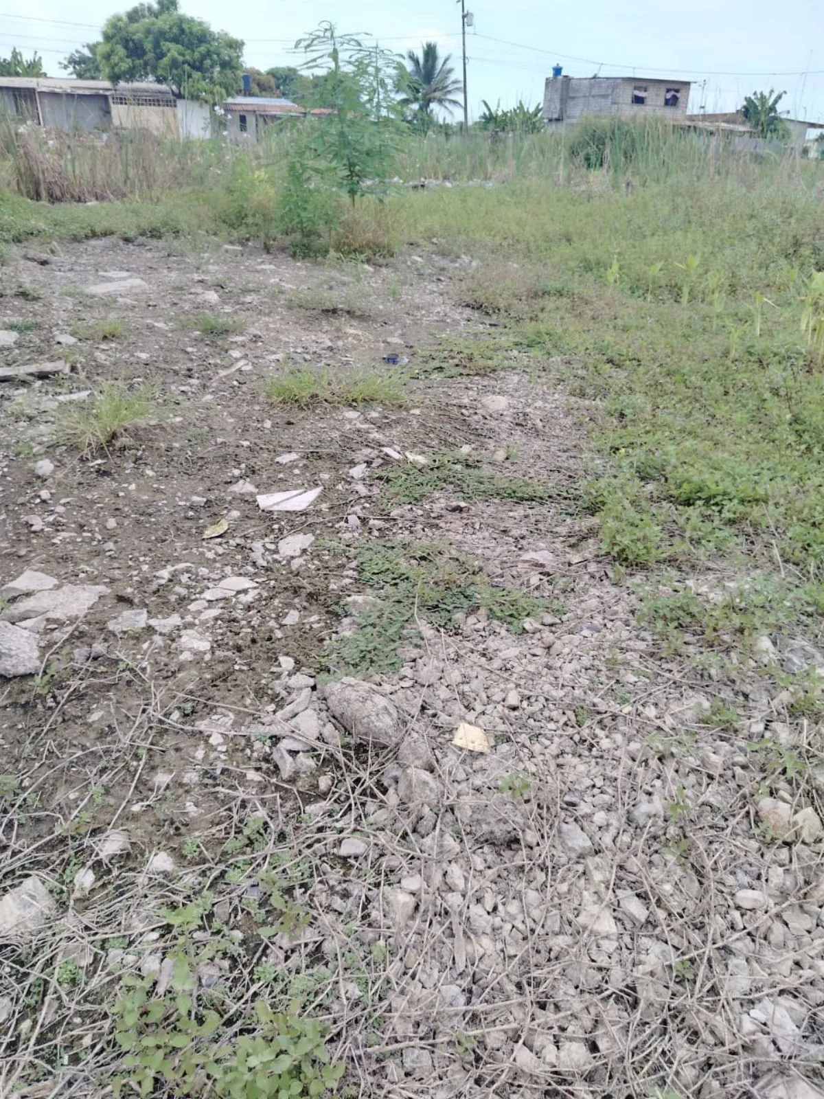 Terreno en venta en Recreo, Norte de Durán TatO