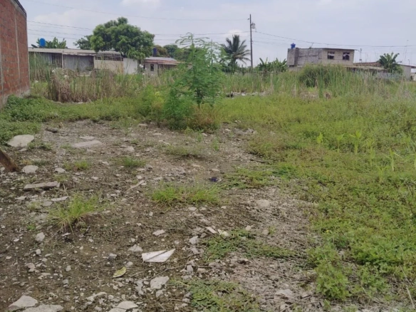 Terreno en venta en Recreo, Norte de Durán TatO