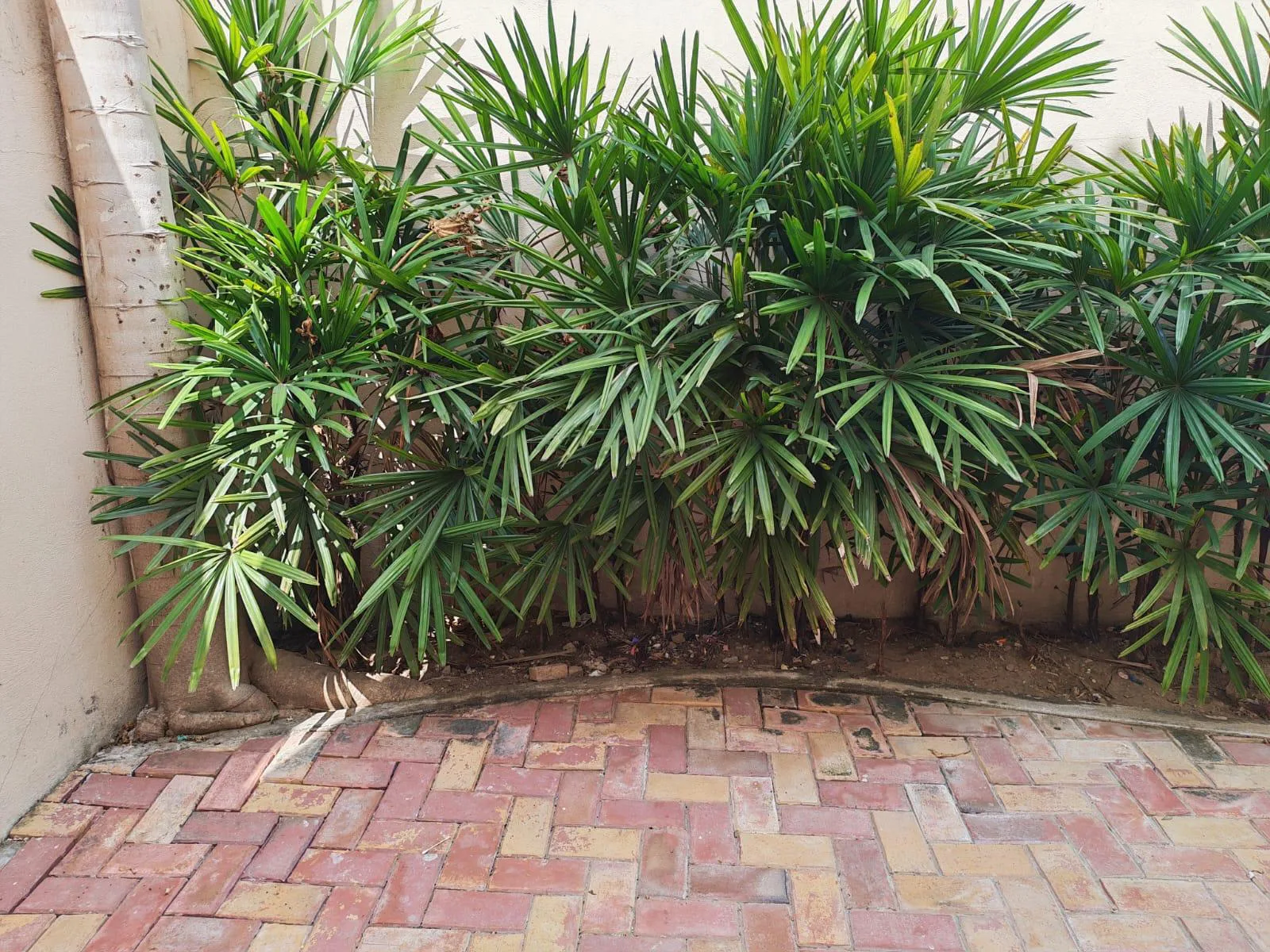 Venta Casa Urb. Bosquetto. Vía a la Costa. Chongón. VivC
