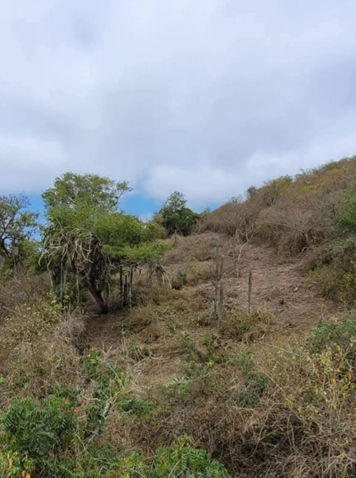 Terreno en Venta en Salango IngS