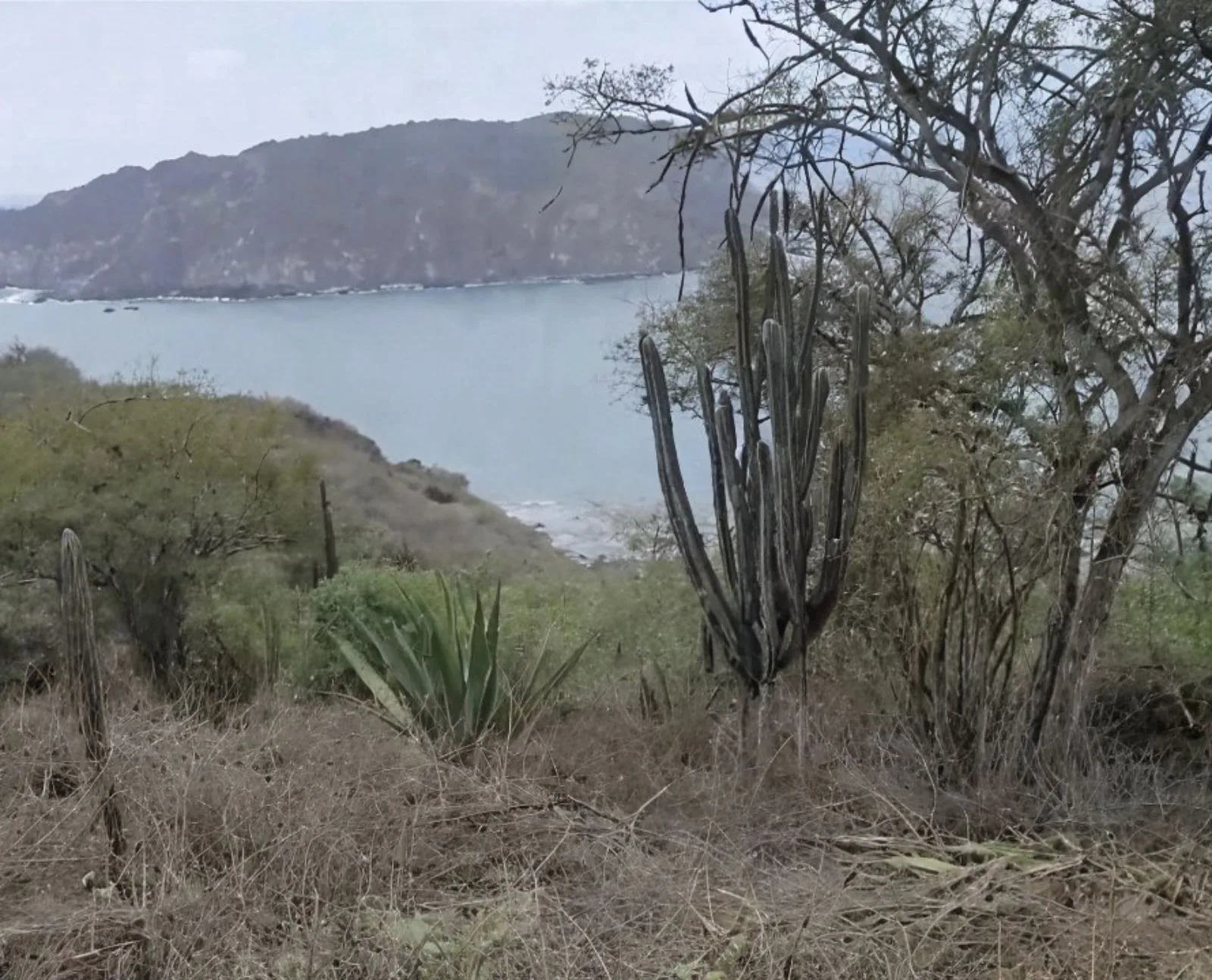 Terreno en Venta en Salango IngS