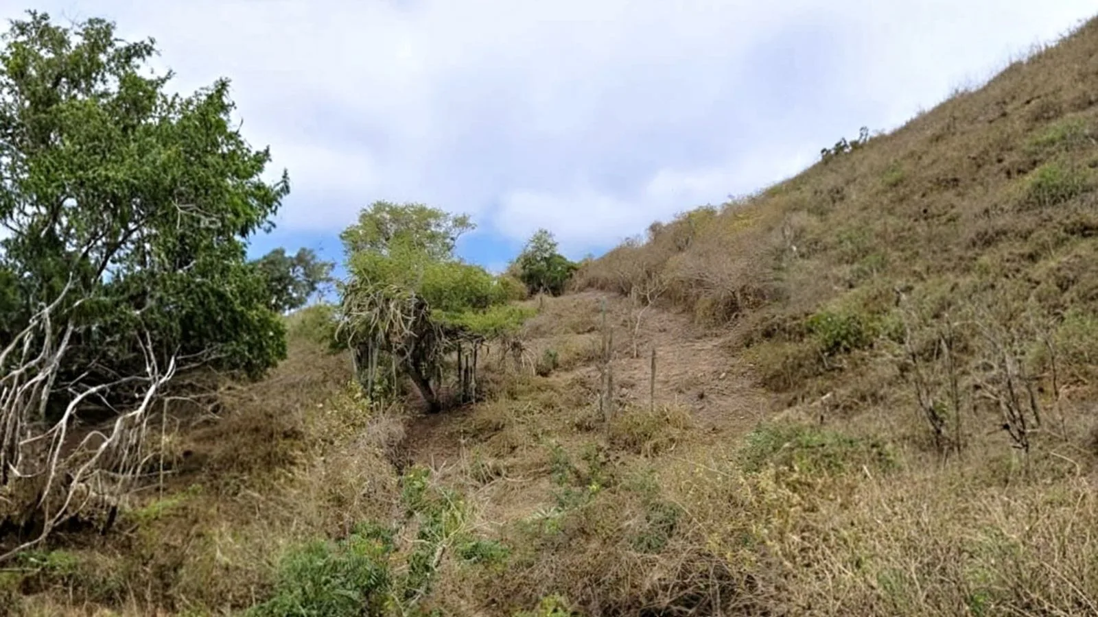 Terreno en Venta en Salango IngS
