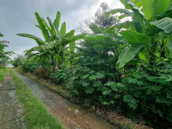 Terreno en Venta en Milagro IngS