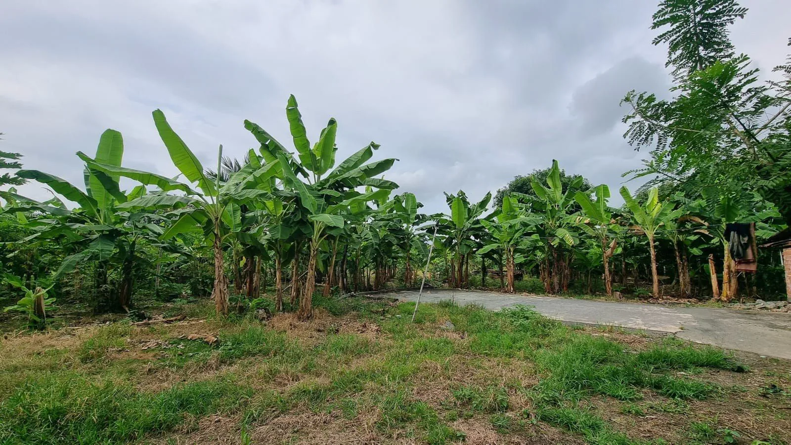 Terreno en Venta en Milagro IngS