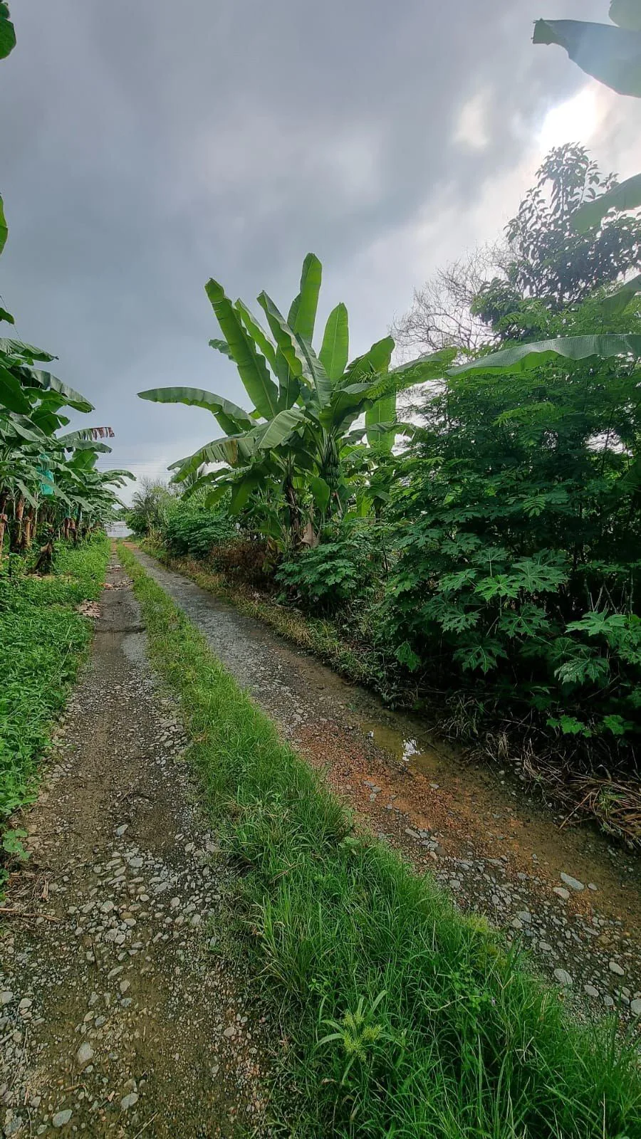 Terreno en Venta en Milagro IngS