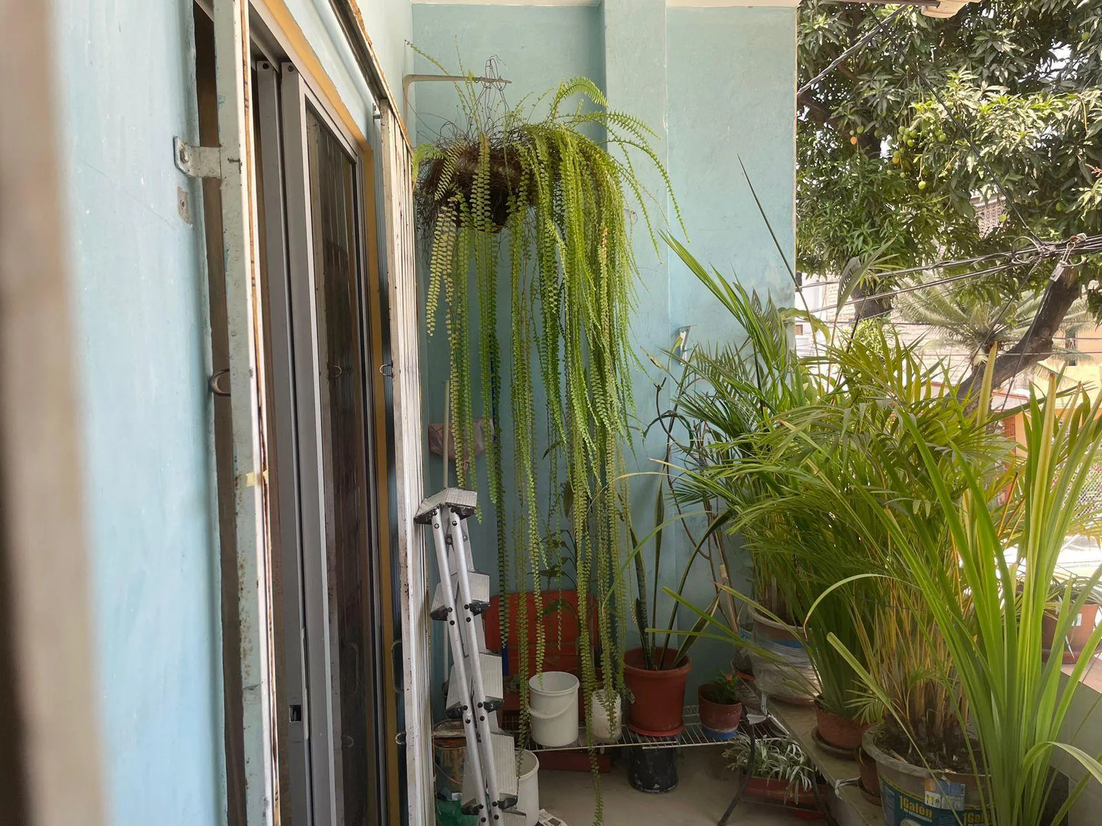 Casa rentera en venta Sauces 6 – JoeG