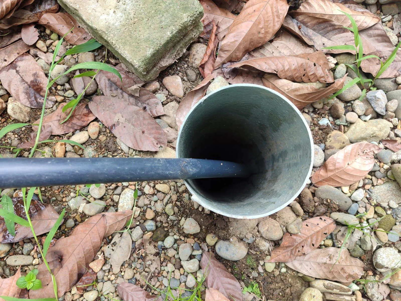 Finca de Cacao en venta, Matilde Esther vía a Mata de Cacao, CYP