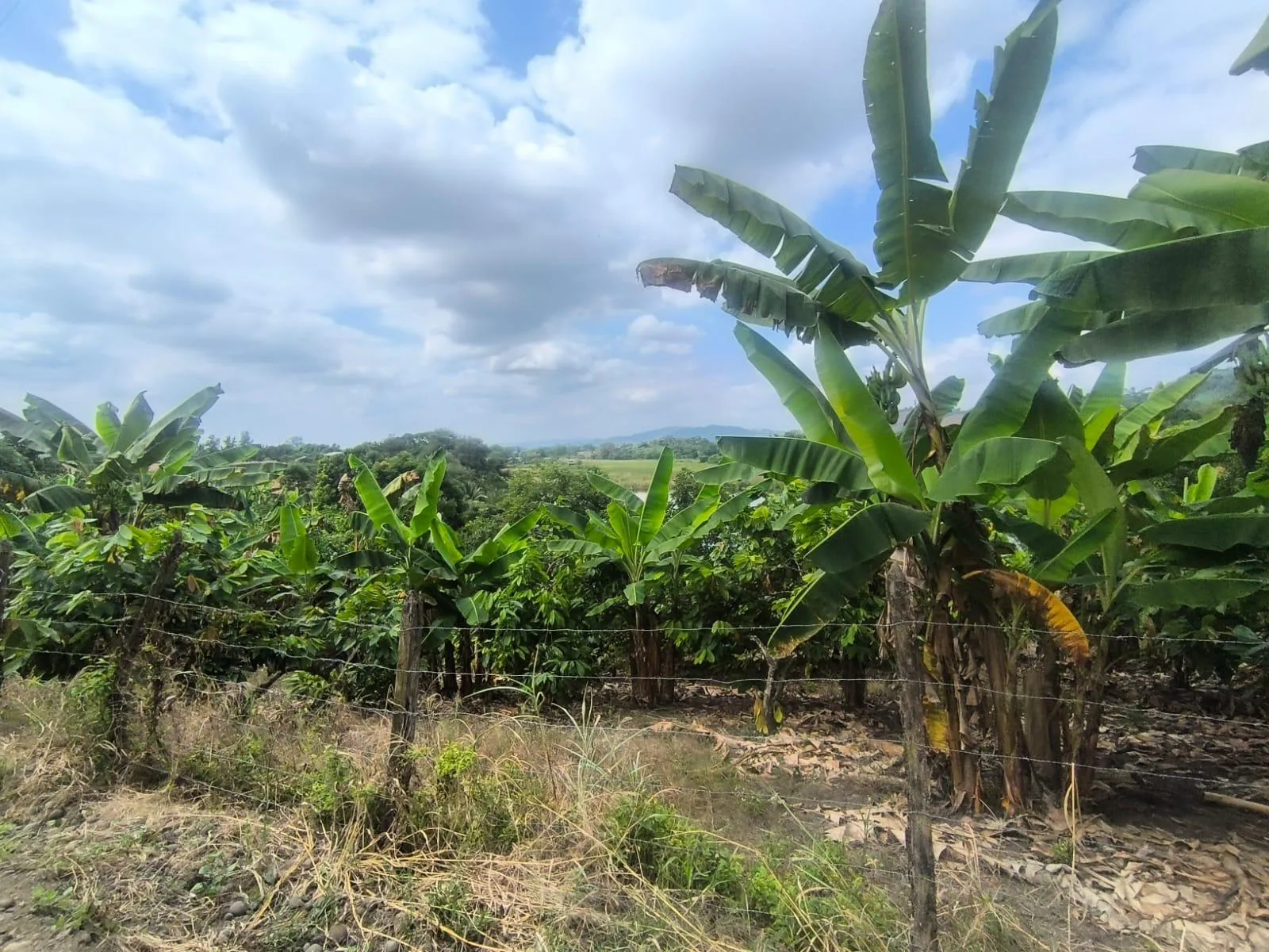 Terreno en Venta, Calceta, Manabi, MaxB