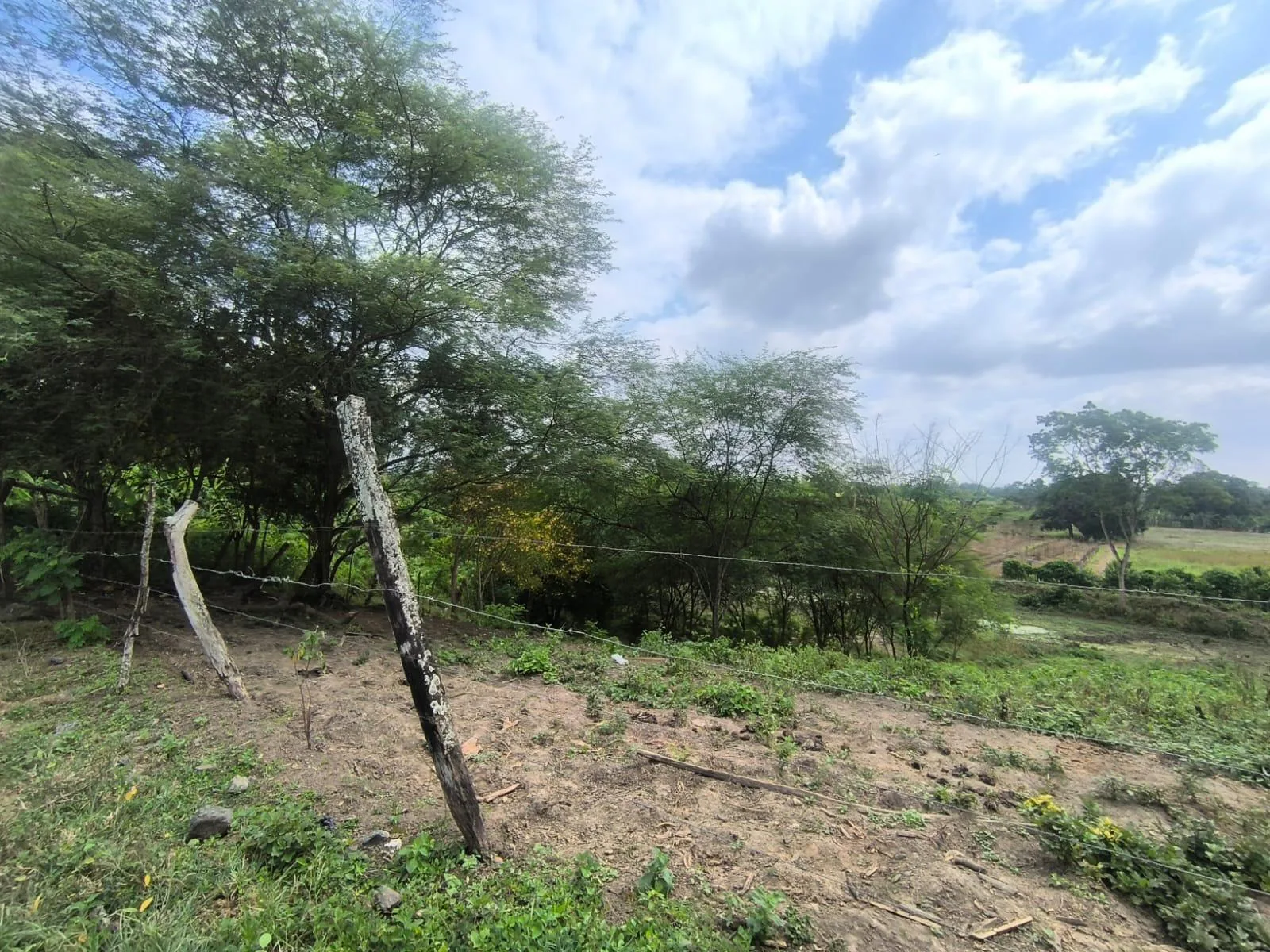 Terreno en Venta, Calceta, Manabi, MaxB