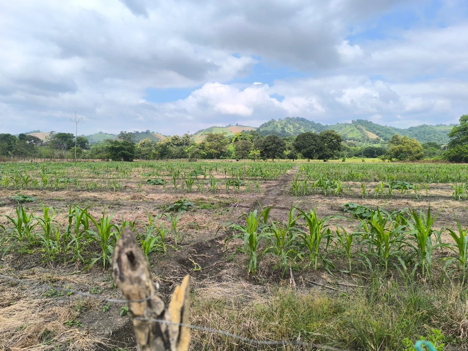 Terreno en Venta, Calceta, Manabi, MaxB