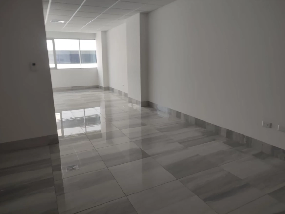 Oficina en Alquiler, Edificio Platinum, CC El Dorado, DiaM