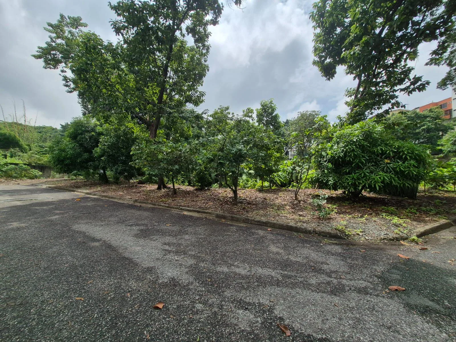 Terreno en venta Mirador del Norte Solar 3 WyR