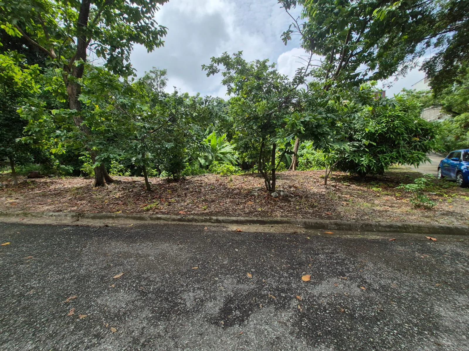 Terreno en venta Mirador del Norte Solar 3 WyR
